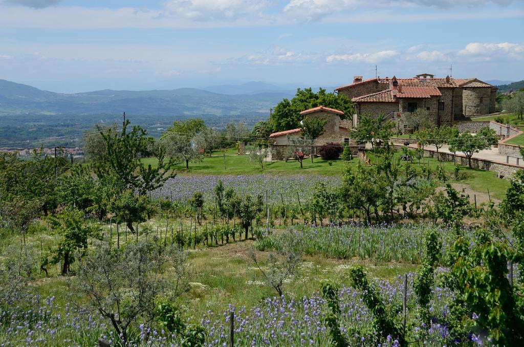 Agriturismo Villa Iris Castelfranco di Sopra Exterior foto